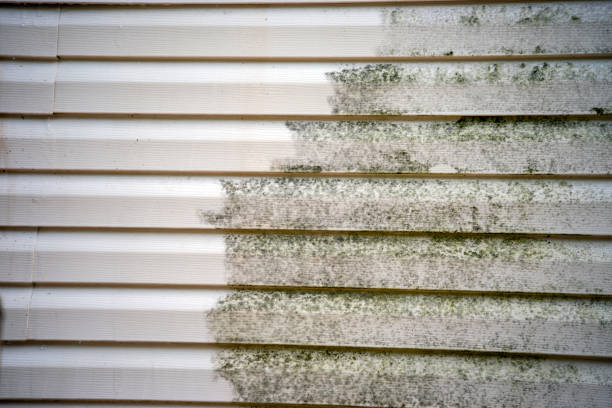 Best Moving and Downsizing Cleanouts  in Garrettsville, OH